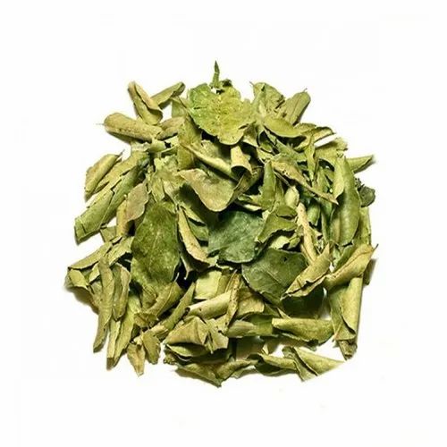 Common Curry Leaves